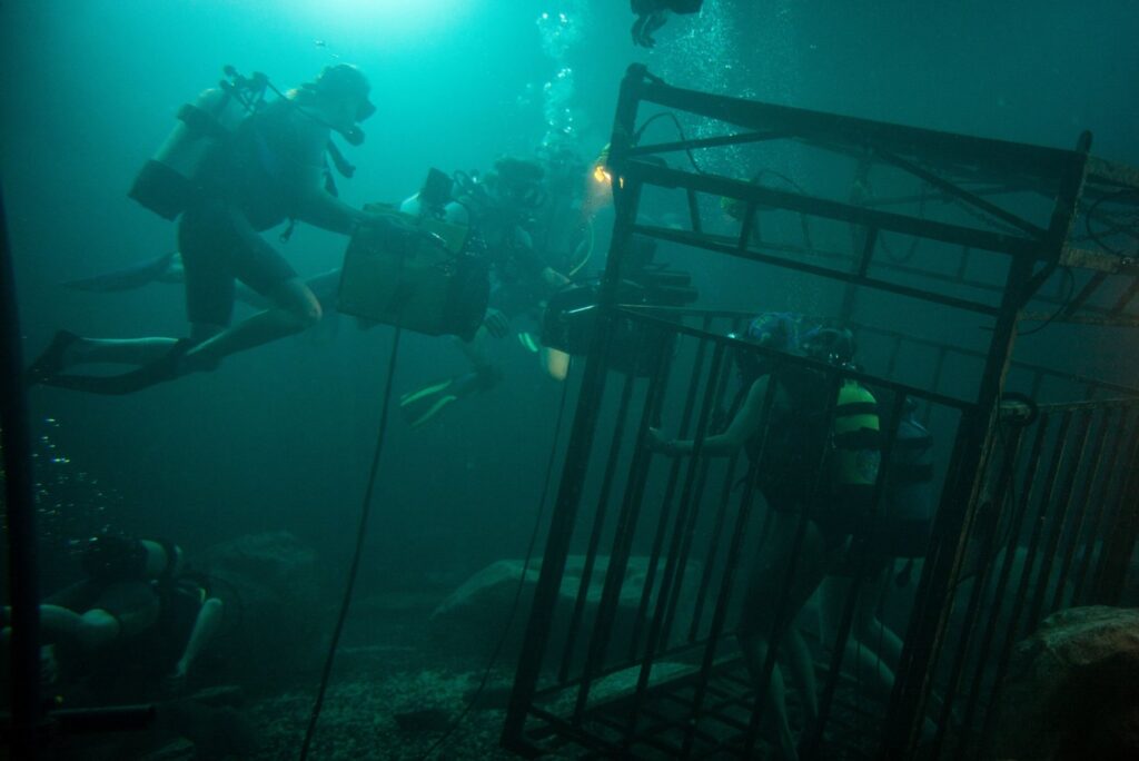 Behind the scenes image from 47 Meters down. Filming the shark cage underwater.