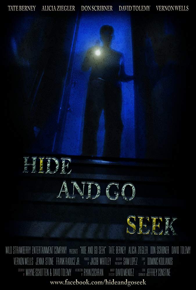 Hide and Go Seek movie poster