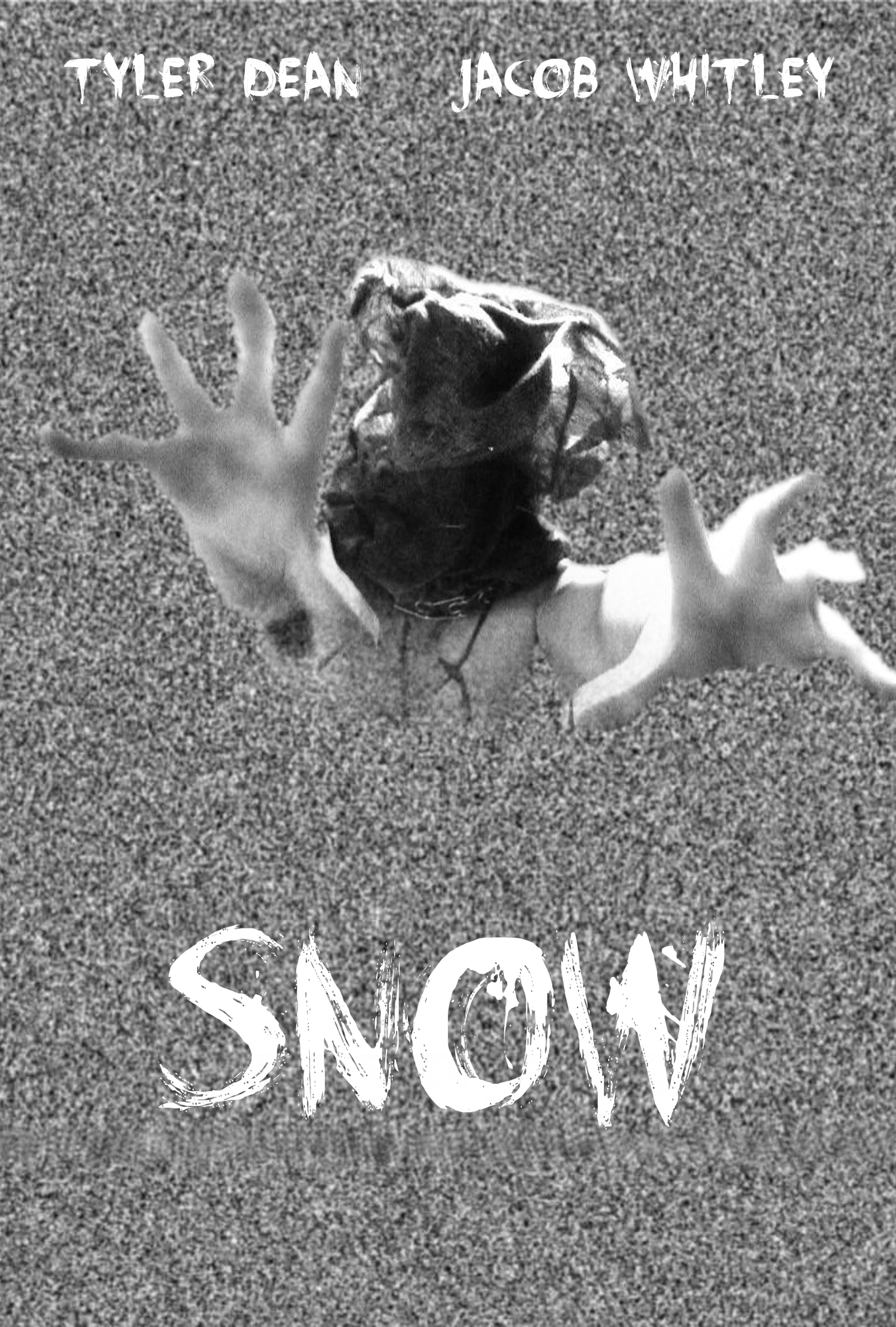 Snow Poster