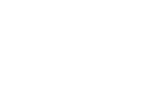 OFFICIAL SELECTION - Saint Augustine Film Festival - 2024 (3)